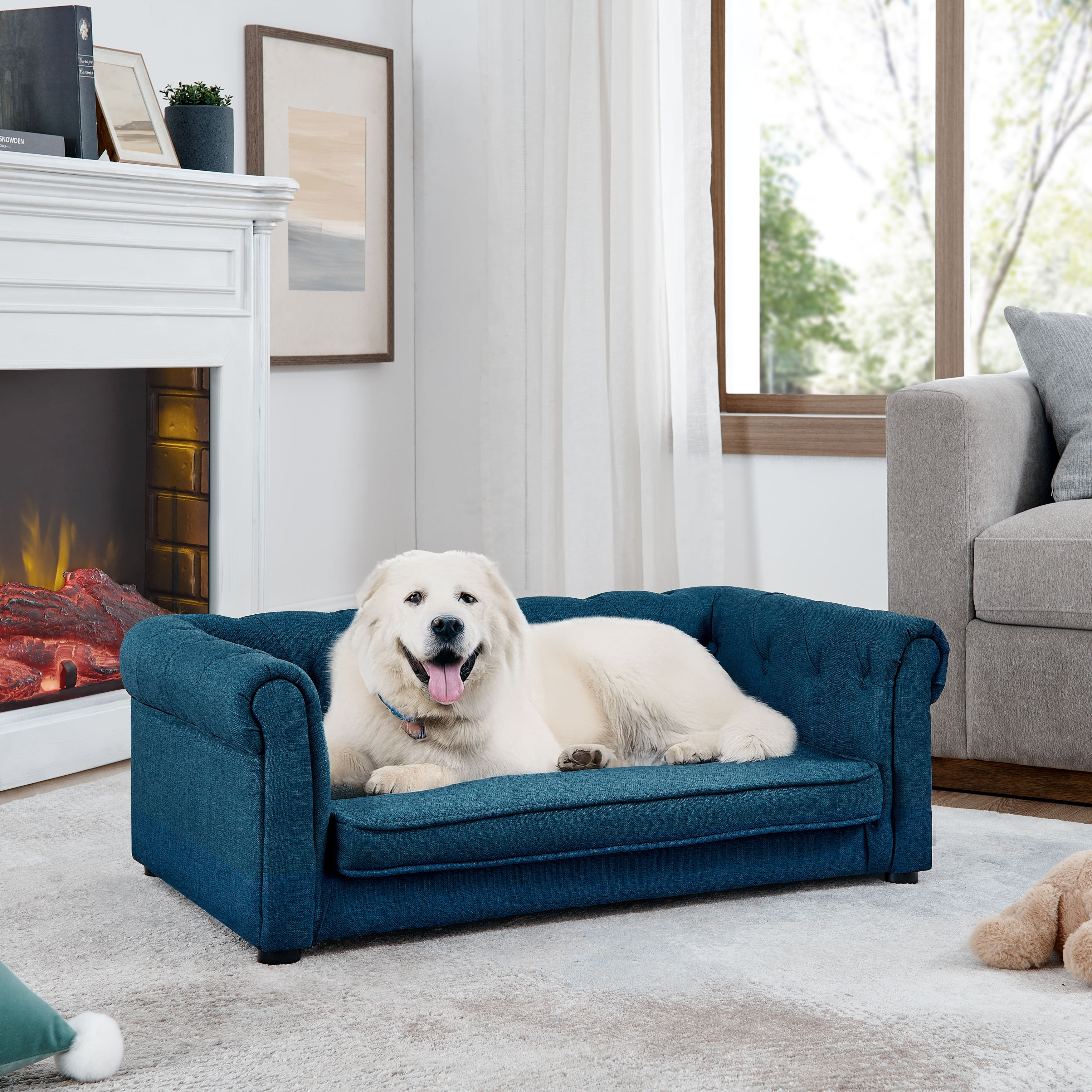 Cozy Comforts: Beds and Clothing for Every Pet